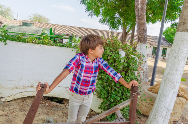 Producto de moda infantil – Referencia 568122
