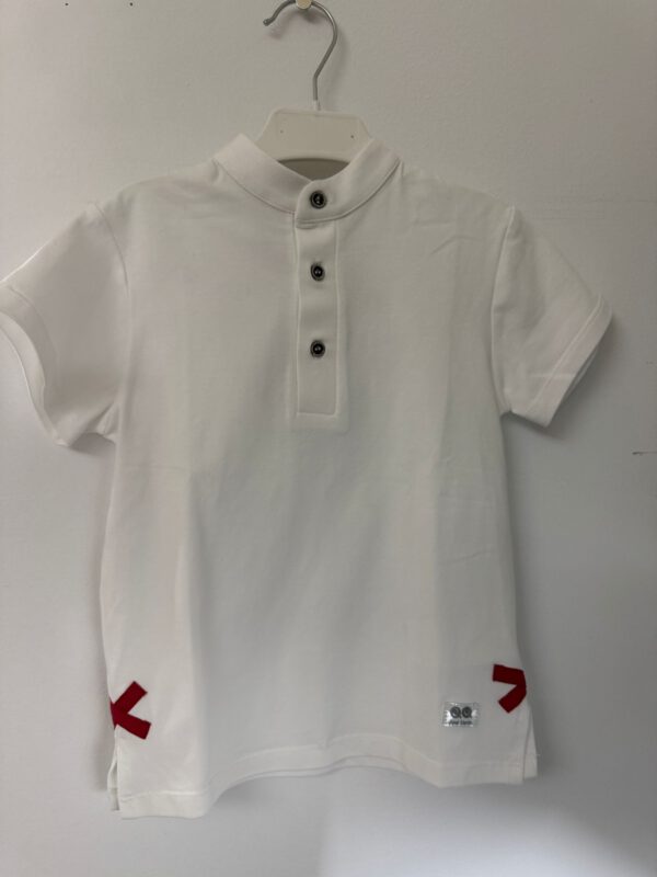 POLO CEBRA