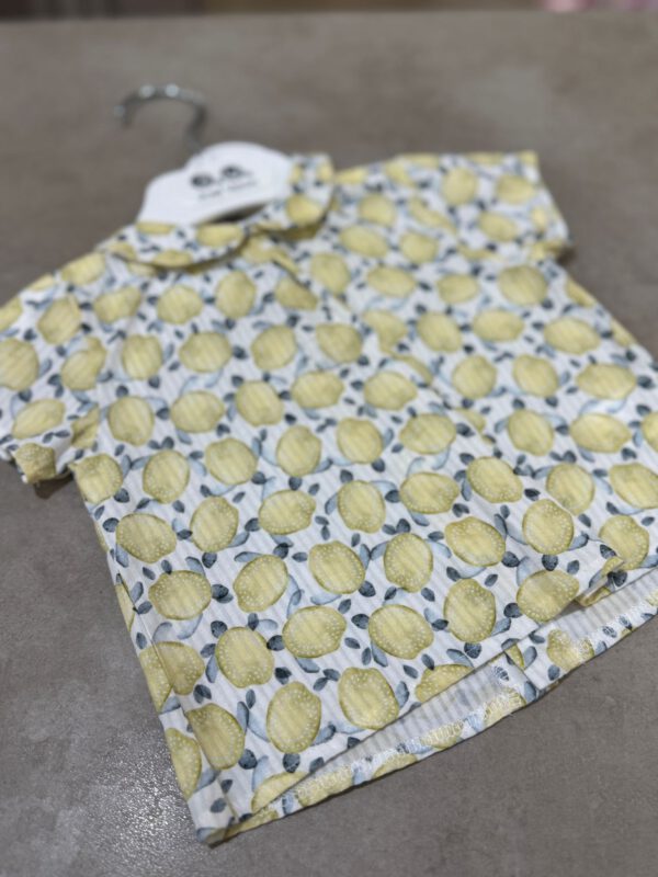 camisa