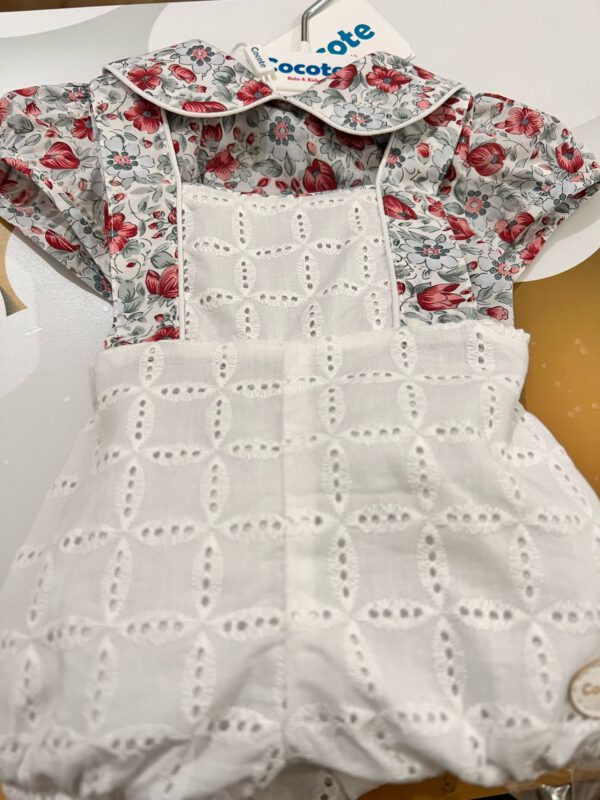 conjunto rana perforado