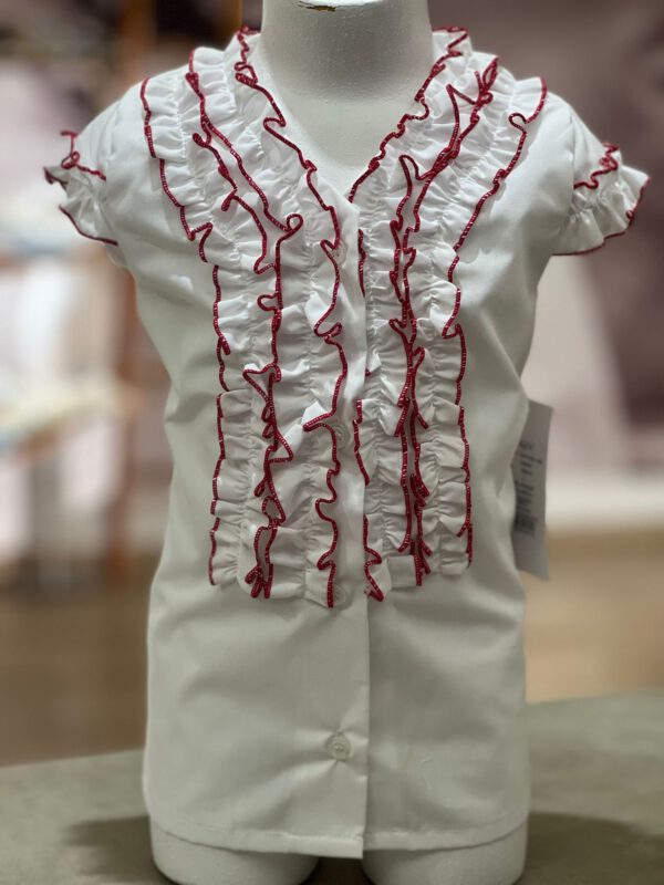 Blusa volantes